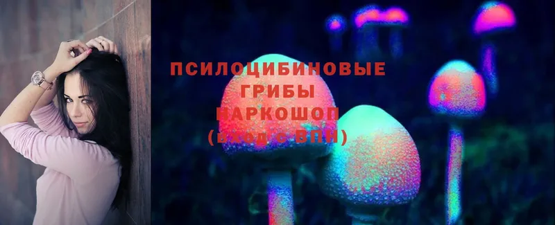 цены   Гулькевичи  Псилоцибиновые грибы Cubensis 